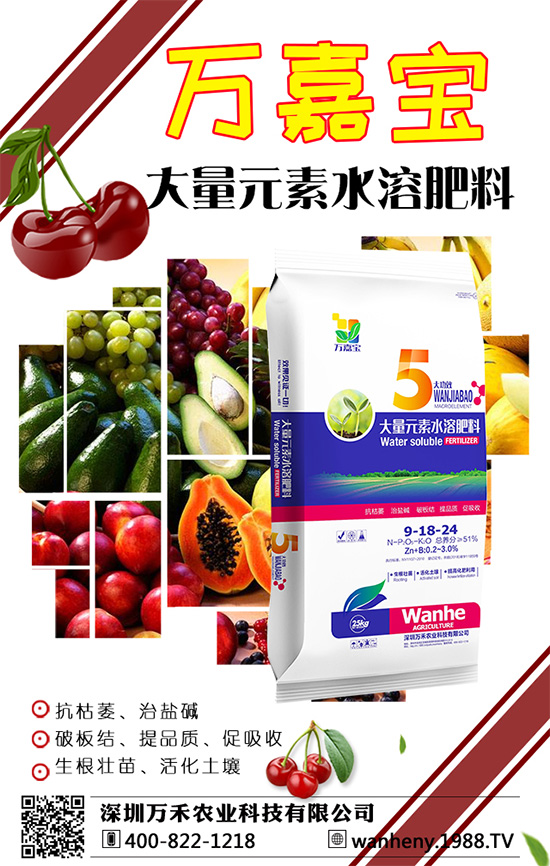 �����f���r(n��ng)�I(y��)�ٶȔy��1988.TV������W(w��ng)�j�������E��