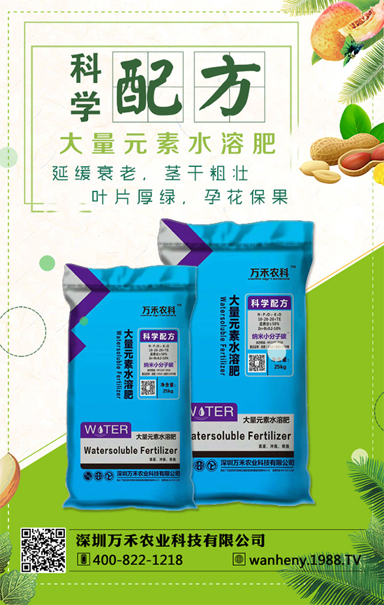 �����f���r(n��ng)�I(y��)�ٶȔy��1988.TV������W(w��ng)�j�������E��