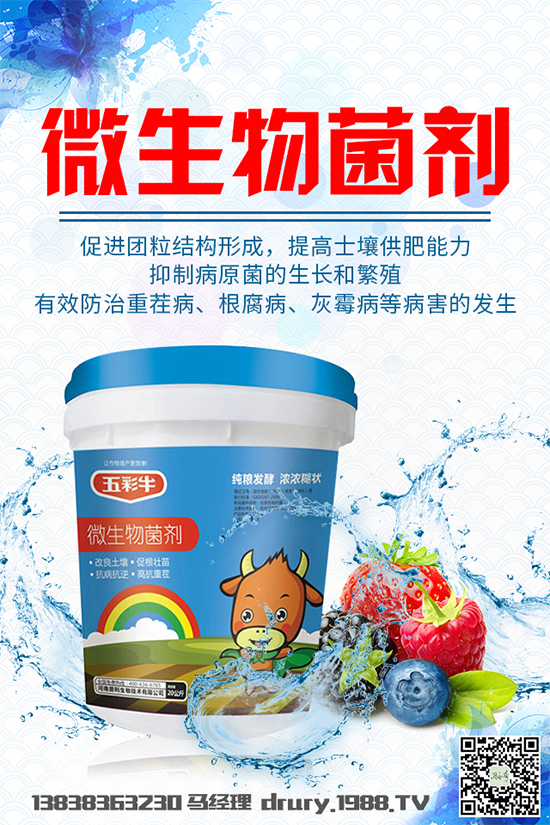 大棚韭菜該怎么種植？韭菜大棚管理技術(shù)要點(diǎn)