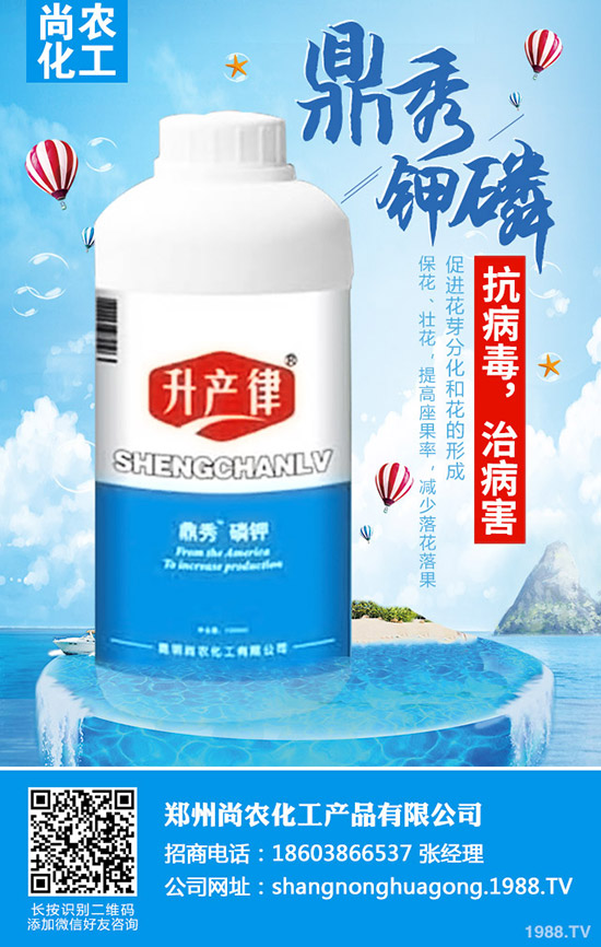     甘藍不結(jié)球怎么辦，甘藍不結(jié)球原因及防治措施！