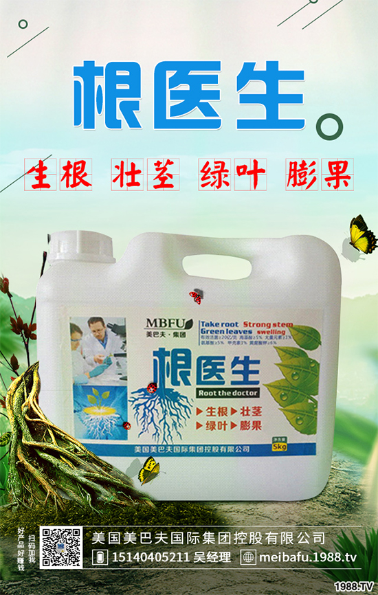 春花生什么時候播種？春花生的播種時間及注意事項