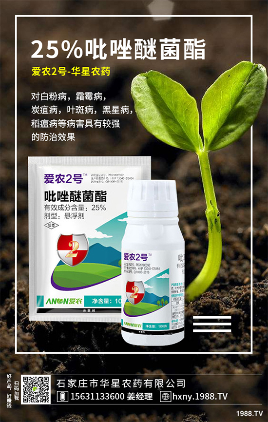 春馬鈴薯晚疫病偏重發(fā)生，這些藥劑可防控4月下旬至6月下旬。