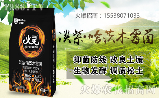 ���˸��r(n��ng)�I(y��)�ٺ����r(n��ng)���W(w��ng)������(sh��)�F(xi��n)�v�w��(m��ng)��