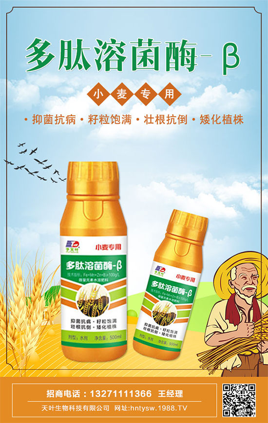 ���~�����ٺ�1988.TV���y�ִ����������E��