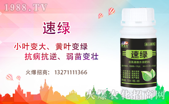 ���~�����ٺ�1988.TV���y�ִ����������E��