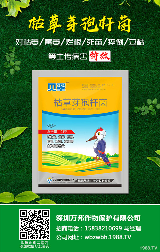 小麥赤霉病藥劑防治效果，有了新變化！