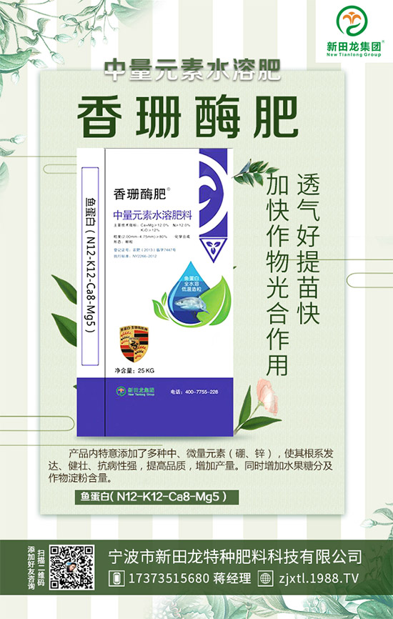 �����P(gu��n)ϵ�����A���������m(x��)�s1988.TV�����\�����°l(f��)չ��