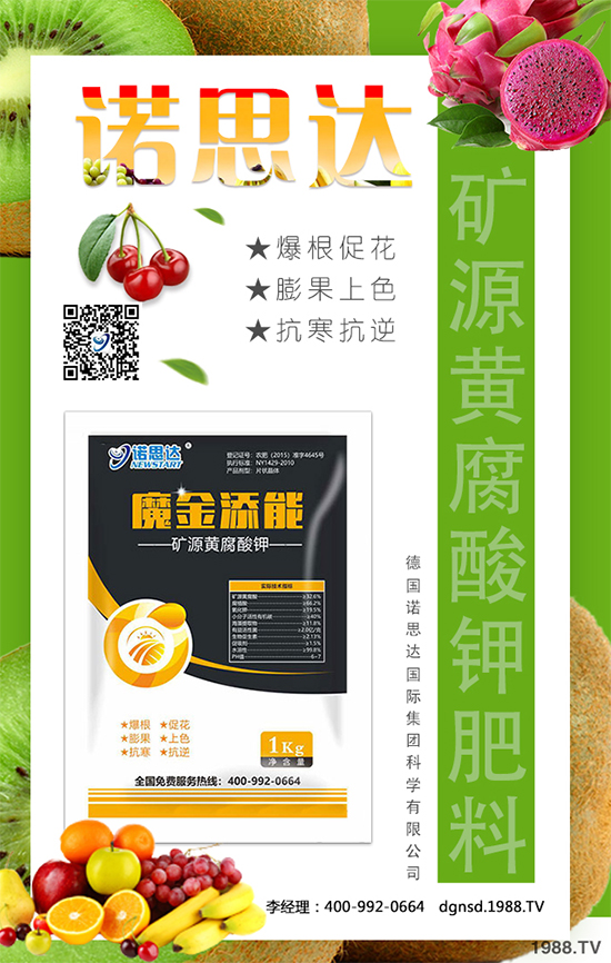 ��(zh��n)�Ժ��������������Z˼�_�ٴκ��s1988.TV��