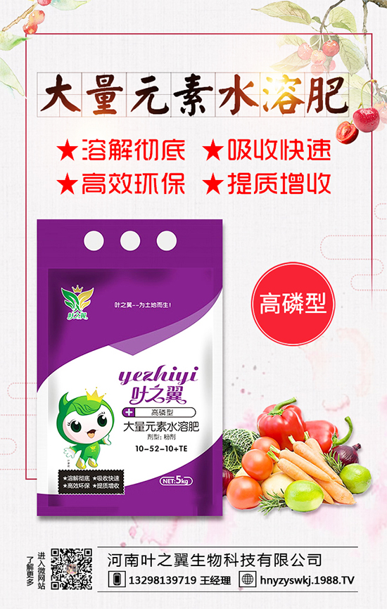 �������L(zh��ng)��(x��)������Щ�����ɵ����g����Ҫ�c(di��n)��