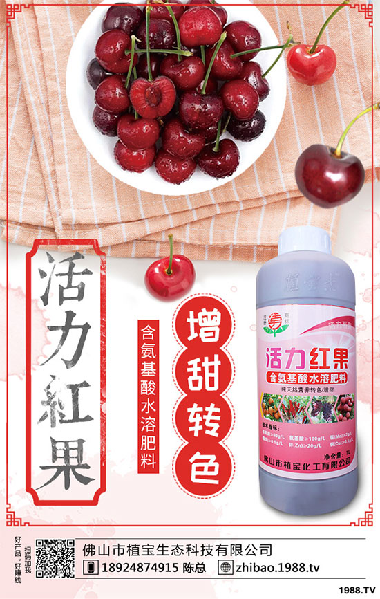 金銀花畝產(chǎn)量是多少？金銀花高產(chǎn)種植技術(shù)