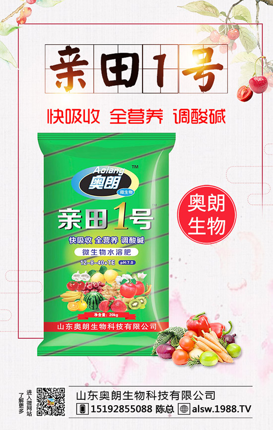  蘆筍種子處理及育苗技術(shù)，蘆筍定植后要如何管理？