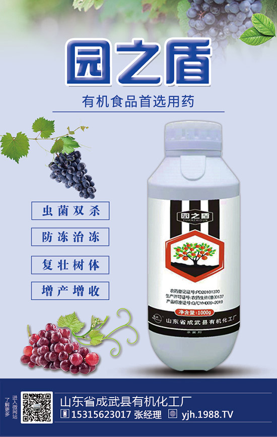 甘蔗需肥特性，甘蔗施肥技術(shù)和要點(diǎn)！