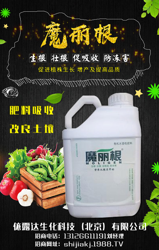 香蔥對環(huán)境的要求有哪些，香蔥的種植季節(jié)及日常管理！