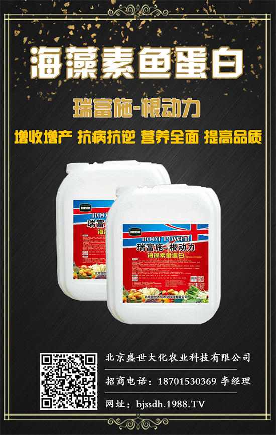土茯苓是什么植物？土茯苓的功效與作用有哪些？