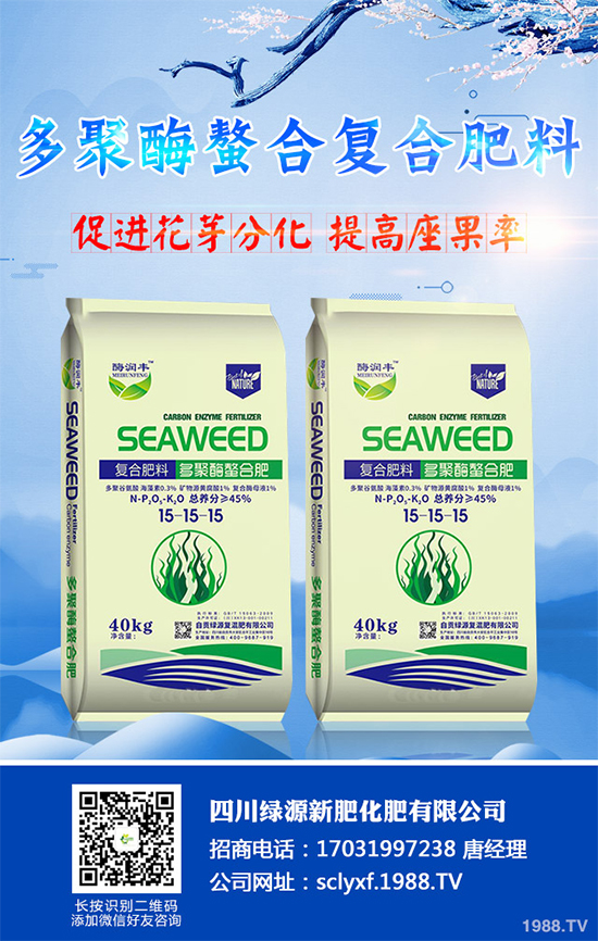 向日葵什么時(shí)候播種？該如何管理？高產(chǎn)向日葵高產(chǎn)種植管理技術(shù)