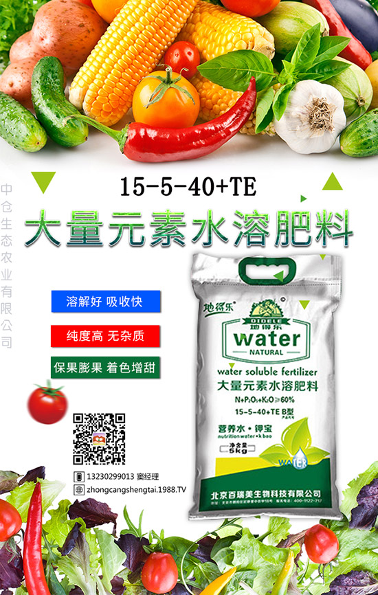 仙人球這樣養(yǎng)才不會(huì)死！金琥繁殖及栽培養(yǎng)殖管理！