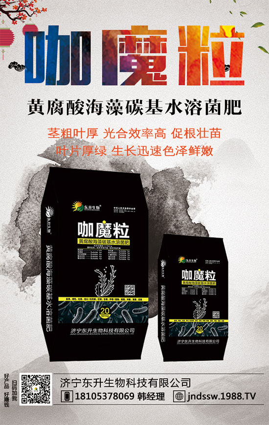 小香芹什么間種植時？小香芹種植方法要點！