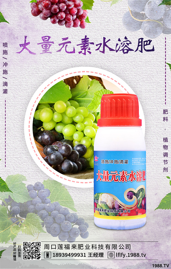 皂莢刺多少錢一斤？種植前景如何？中藥材的效益分析