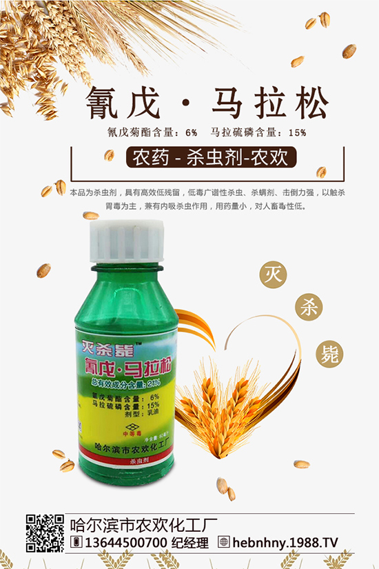 �x(ch��ng)���߷��ڡ������x(ch��ng)ຸ�Ч���x(ch��ng)�����Դ������