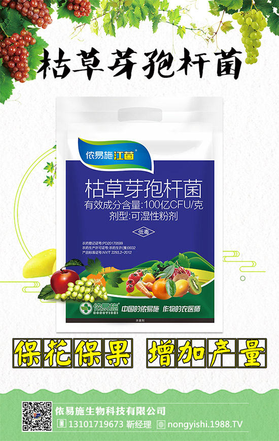 �������x������(j��)���z��ʩ�ٺ�1988.TV������(sh��)�F(xi��n)�v�w��(m��ng)��