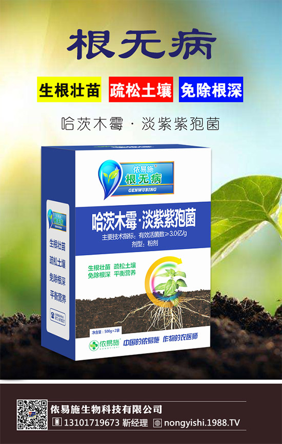 �������x������(j��)���z��ʩ�ٺ�1988.TV������(sh��)�F(xi��n)�v�w��(m��ng)��