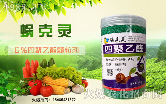 ��¡�r(n��ng)�I(y��)�m(x��)�s1988.TV���y�ֹ���(chu��ng)���x�ͣ�