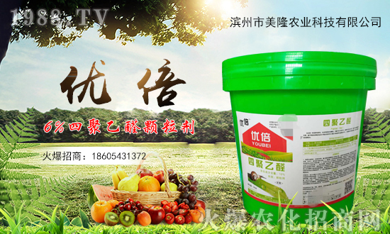 ��¡�r(n��ng)�I(y��)�m(x��)�s1988.TV���y�ֹ���(chu��ng)���x����