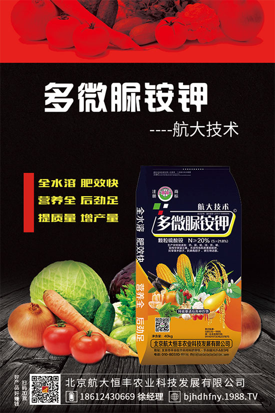 三七種子怎么種植？三七功效與作用有哪些？