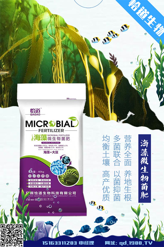 花生什么時(shí)間種植？花生高產(chǎn)種植方法！