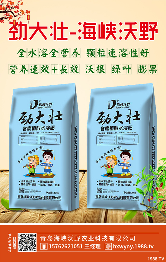 2020年黃精種植前景如何？如何種植才能獲得更高的經(jīng)濟(jì)收入？