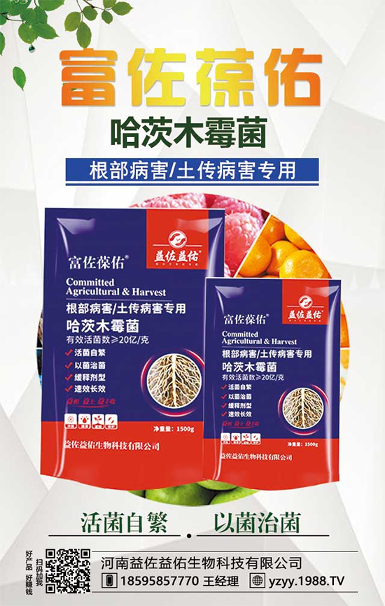 芋頭都有什么營(yíng)養(yǎng)價(jià)值？吃芋頭有什么好處？