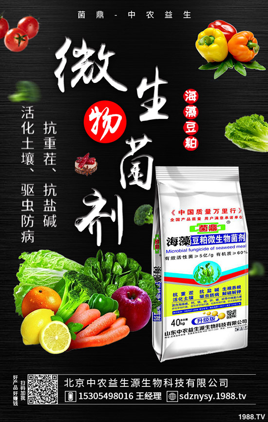     二銨市場(chǎng)整體表現(xiàn)平靜！2020-5-12最新磷酸二銨價(jià)格行情分析！