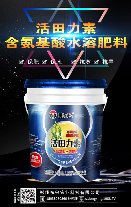 牛大力的種植的前景怎樣，牛大力種植技術(shù)及苗期管理！