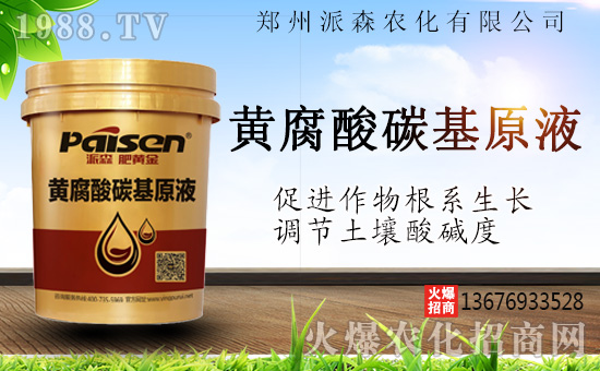 ������ɭ�r(n��ng)���ٺ�1988.TV����(zh��n)�Ժ����Pϵ�������_�A��