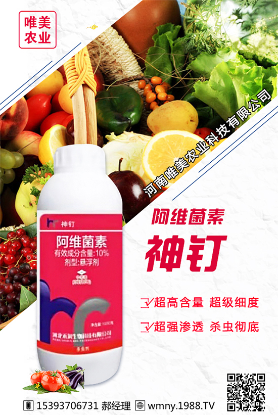 洋蔥的栽培品種有哪些？種植洋蔥對環(huán)境條件的要求！