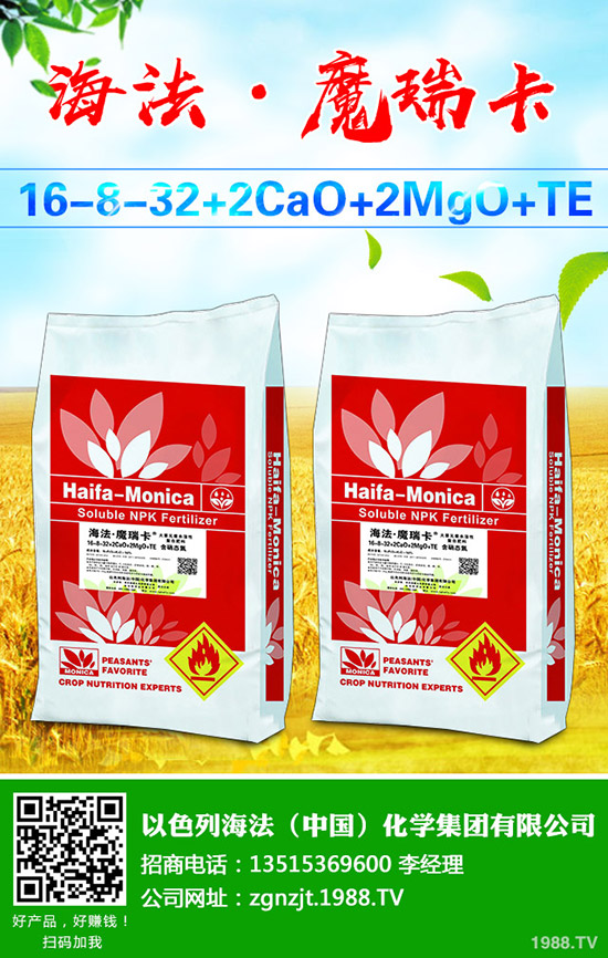     葡萄樹(shù)勢(shì)旺長(zhǎng)發(fā)生原因有哪些？該怎么辦？葡萄的夏季控旺技術(shù)！