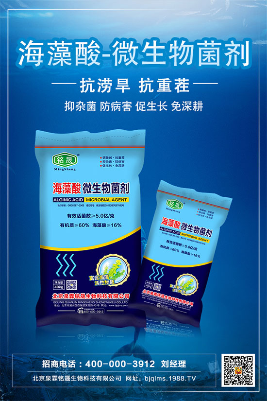     板栗只開(kāi)花不結(jié)果是什么原因？板栗不掛果的解決措施！