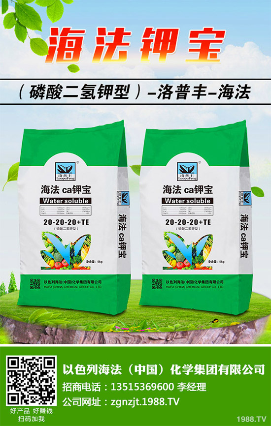 鉀肥市場(chǎng)價(jià)格