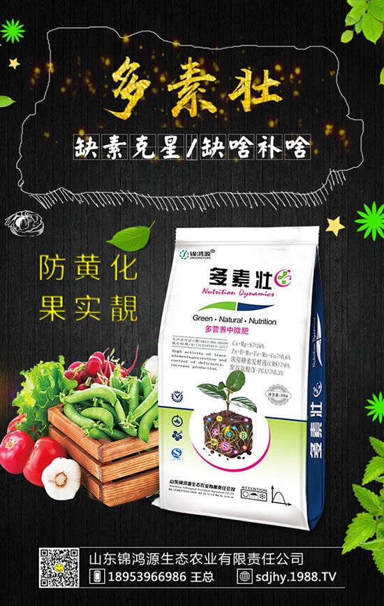 火龍果育苗方法有哪些，火龍果育苗要點(diǎn)及苗期管理！