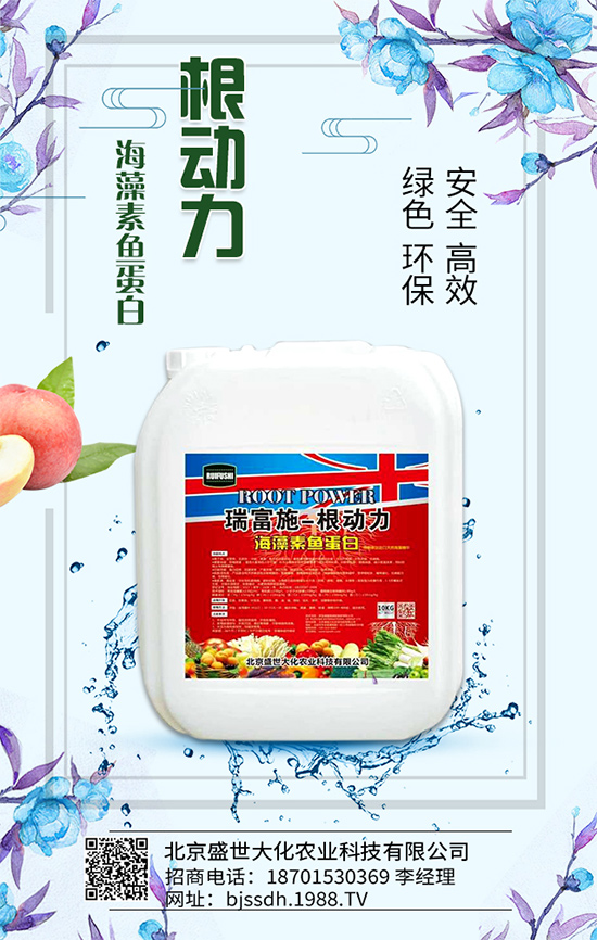 杏樹怎么育苗定植？如何培育杏苗進(jìn)行嫁接？