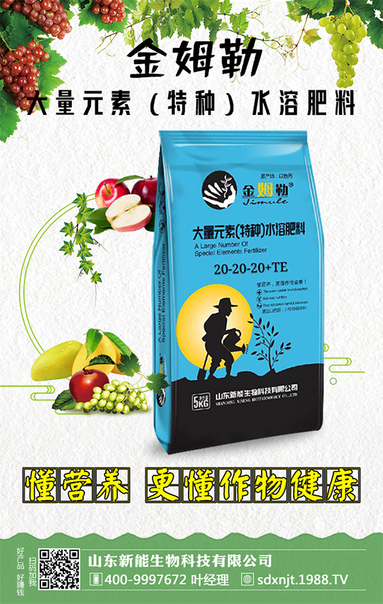 �������\�l(f��)չ��ɽ�|�����ٺ�1988.TV�_��(chu��ng)���x�ͣ�