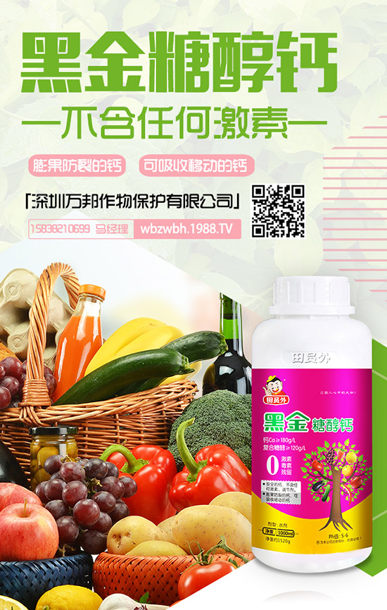 花期將至！棗樹落花落果該怎么辦？棗樹落花落果原因及防止措施！