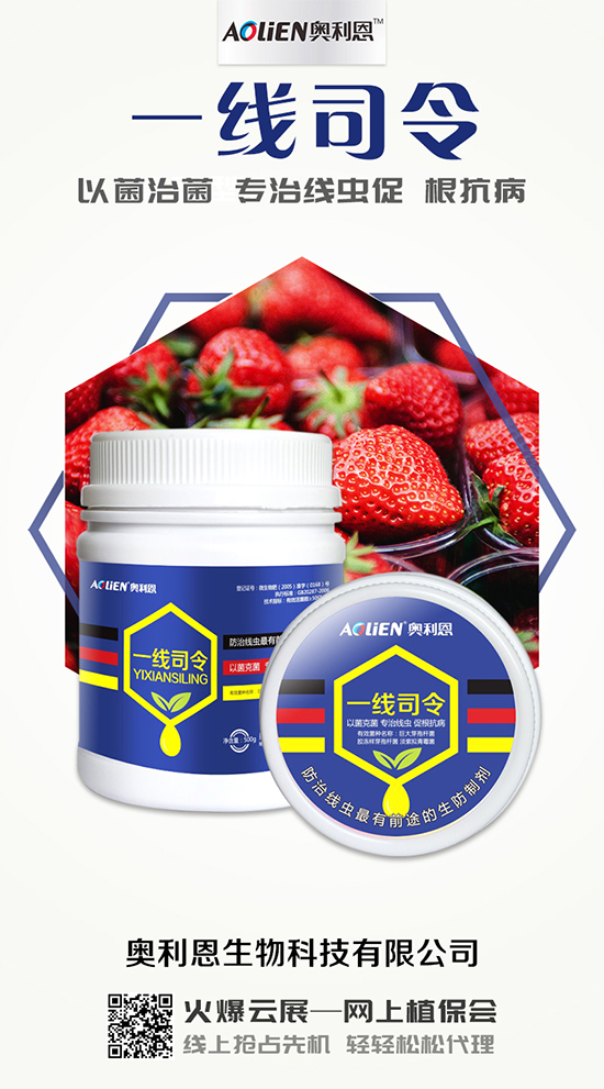 香瓜育苗期的水肥管理，香瓜施肥的注意事項(xiàng)！