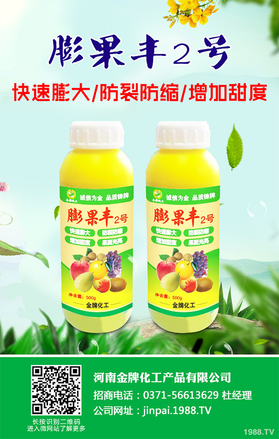     黑櫻桃該如何栽培？怎樣管理？黑櫻桃高產(chǎn)栽培管理技術(shù)