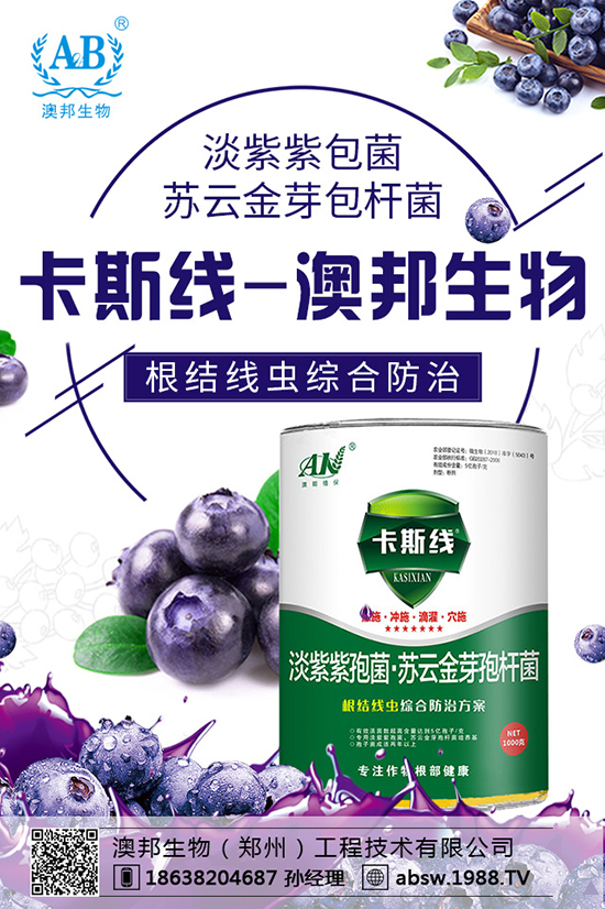 玉米播種多深才算好？玉米如何選種？玉米播種注意事項！