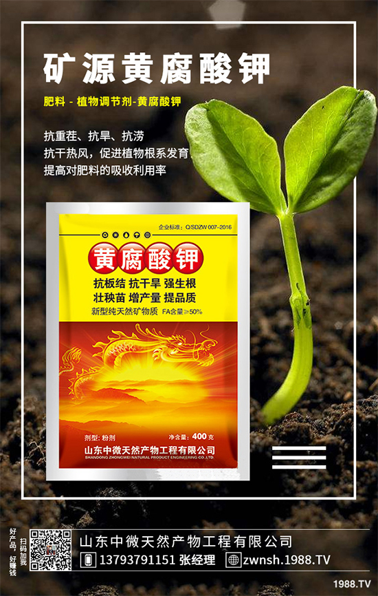 國內(nèi)鉀肥價格行情快報