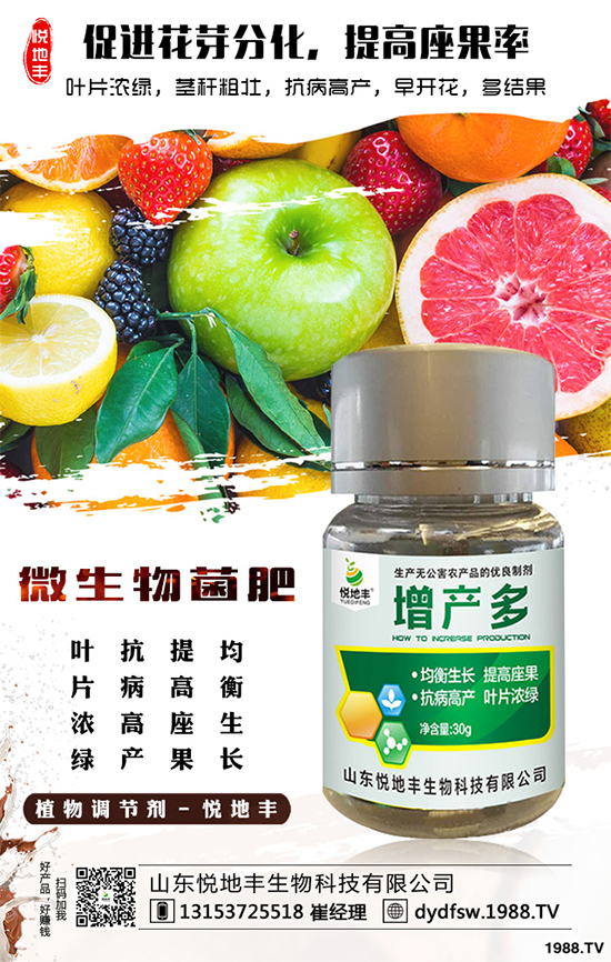 冰菜該如何栽培？怎樣種植能高產(chǎn)？冰菜的高產(chǎn)栽培技術(shù)