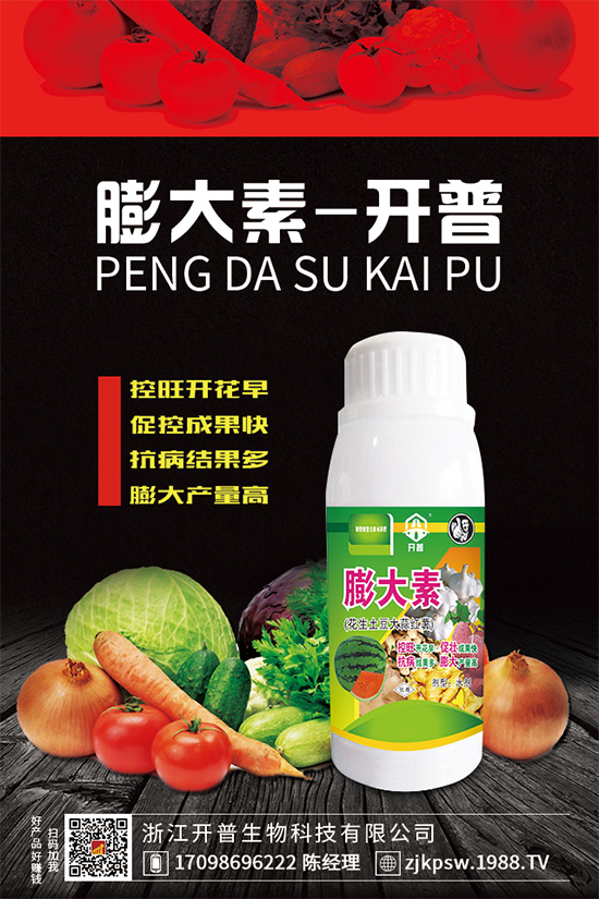 黃精種植難在哪里？為什么大家都說不好種植？快來看看吧！