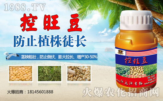 �������������t̫������ٺ�1988.TV���y�ֹ��A2020��