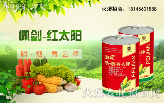 �������������t̫������ٺ�1988.TV���y�ֹ��A2020��